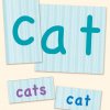 Word Family Cards